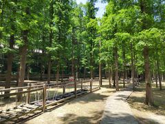 -南京金牛湖风景区