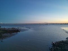 -宝安西湾红树林湿地公园