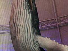 -烟台海昌鲸鲨海洋公园