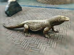 -成都动物园