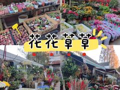 -平吉花卉市场
