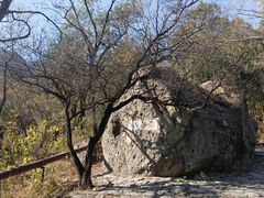 -阳台山自然风景区