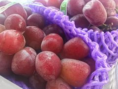 -马陆小张葡萄园农家乐