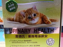 -爱宠屋pet shop·宠物洗澡·宠物美容