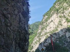 -黑河国家森林公园