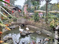 -青城甲(青城山店)