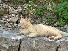 -崂山九水游览区