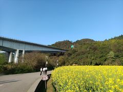 -贵阳市花溪国家城市湿地公园