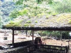 -白云源风景区
