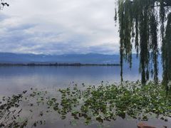 -西昌邛海湿地