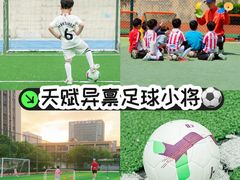 -小赛虎少儿足球培训(南翔校区)