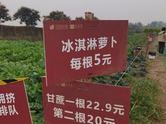 -汉长安城未央宫国家考古遗址公园