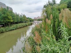 -南翔镇银翔湖公园
