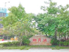 -映月湖公园