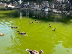 -香山公园-东宫门售票处