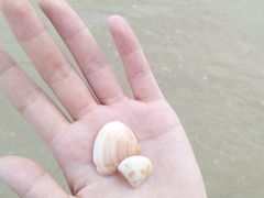 -西涌国际滨海旅游区