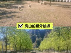 -十渡东湖港风景区