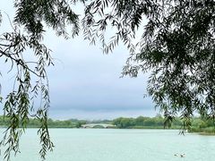 -南海子公园