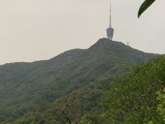 -梧桐山风景名胜区