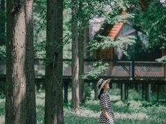 -黄海国家森林公园