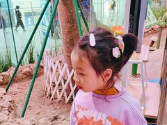 -正佳雨林生态植物园