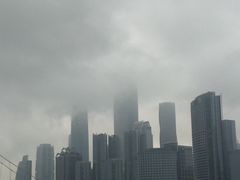 -珠江琶醍