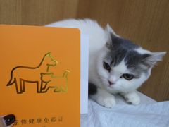 -联合动物医院(光谷诊疗中心)