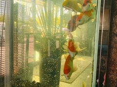 -浩运·海鲜青岛菜·海胆水饺(石老人店)