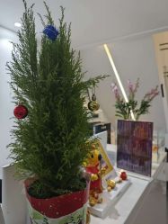 -春田皮肤管理中心品牌旗舰店