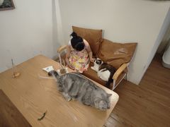 -猫友咖啡店(玉林西路店)