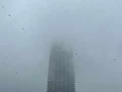 -黑石礁公园