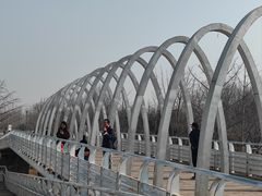 -大兴滨河森林公园