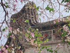 -深圳国际园林花卉博览园