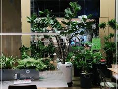 -gaga(深圳福田星河COCO Park店)