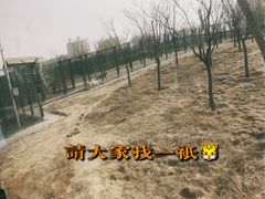 -太原动物园