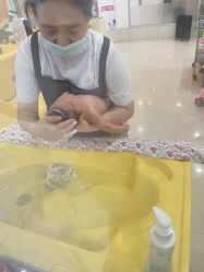 点击看大图 -纵享怡月月子中心(西稍门店)