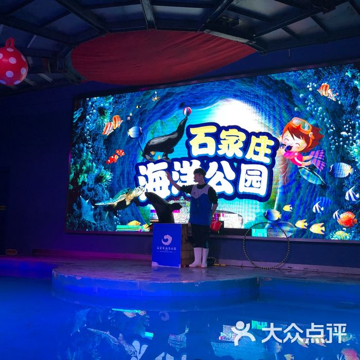 石家庄海悦天地海洋公园