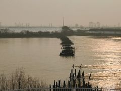 -河口景区