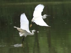 -新江湾城公园