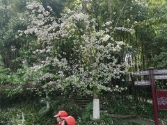-邓小平故里