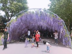 -河北省园博园