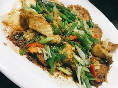干煎鱼籽-金砂阿洲鱼册店