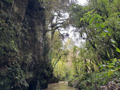 -怀托摩萤火虫洞