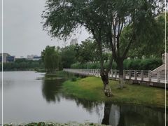 -后襄河公园