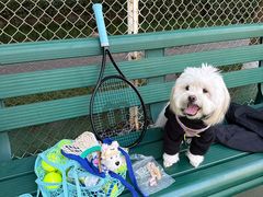 -美再晨游泳健身瑜伽(锦绣店)