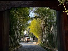 -龙潭水乡