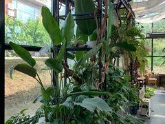 -北马山庄植趣咖啡
