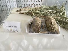 -青藏高原野生动物园