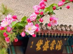 -元大都城垣遗址公园