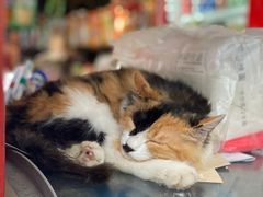 -黄桷坪涂鸦艺术街